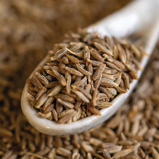 Cumin Seeds