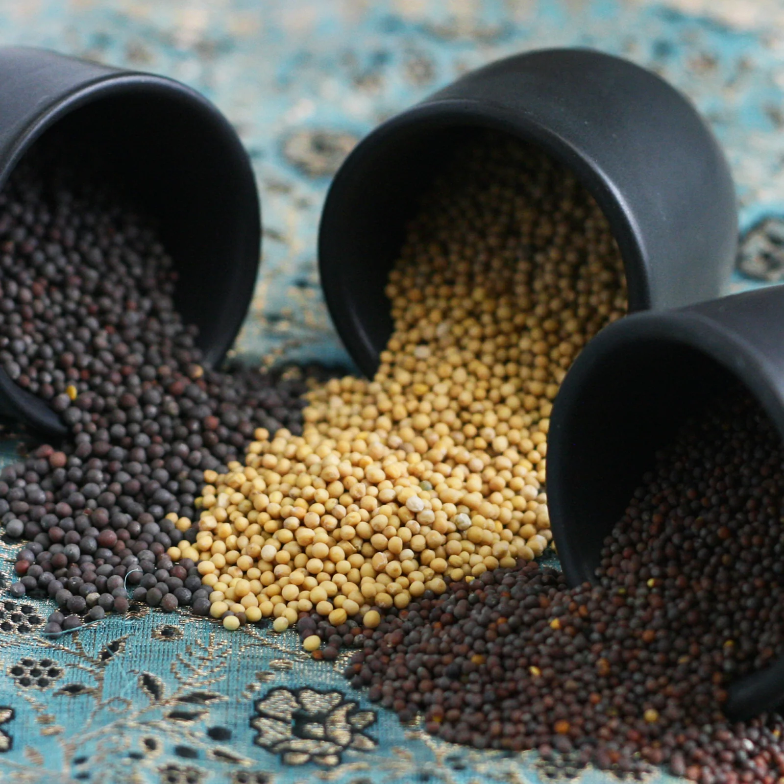 Mustard Seeds