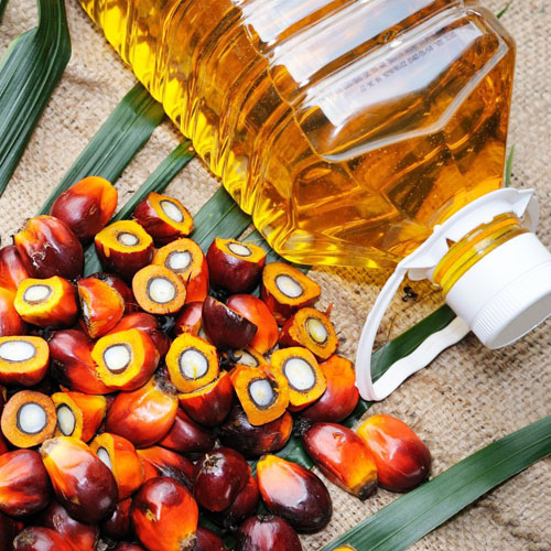 Palm Oil